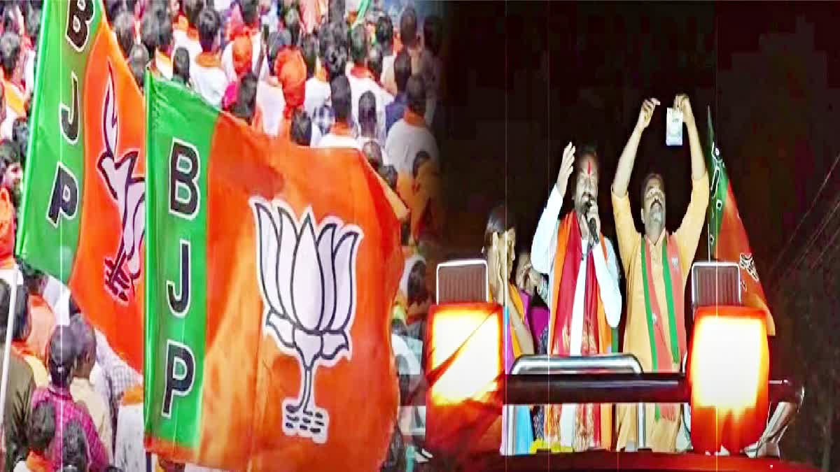 BJP Lok Sabha Election Campaign