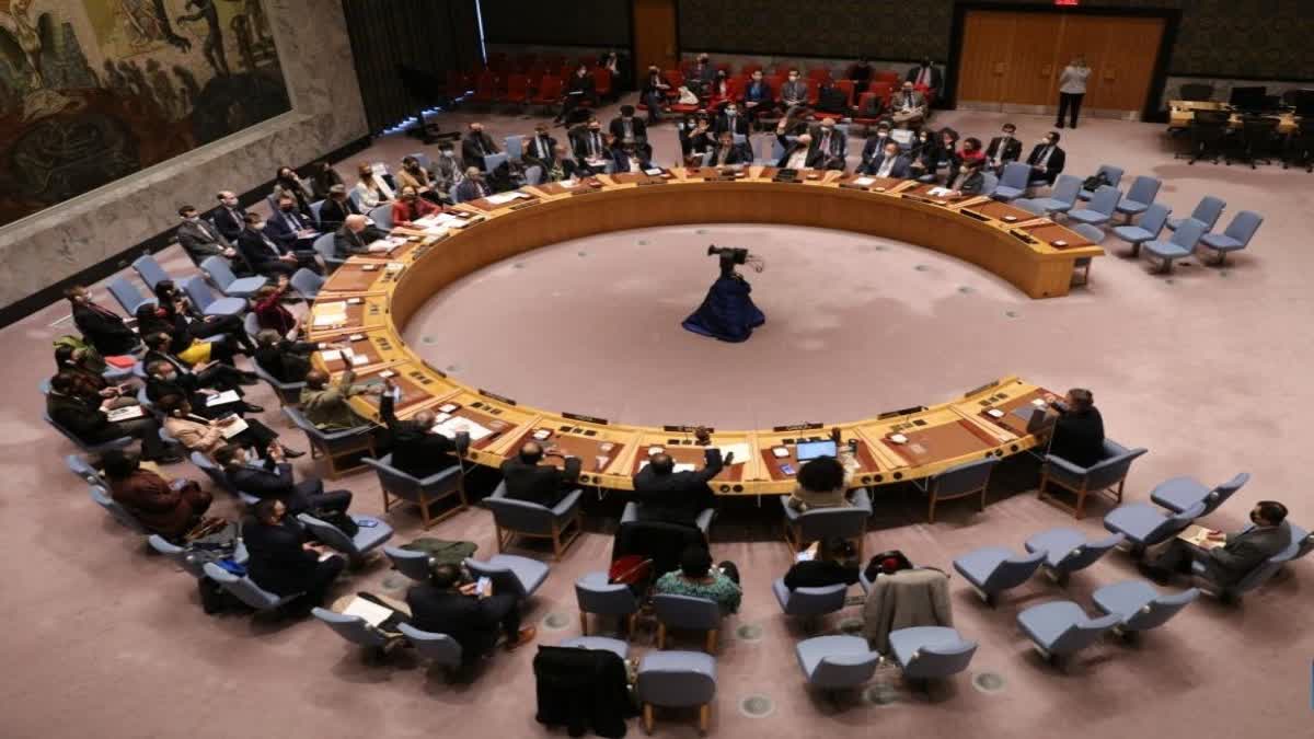 India at UNSC pushes for debt relief for nations most in need (photo IANS)