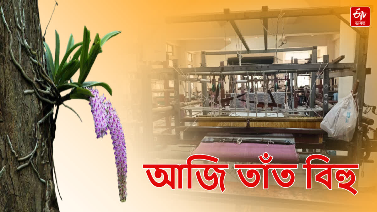 Dr. JayantDev Sharma analyzes significance of the Tator Bihu