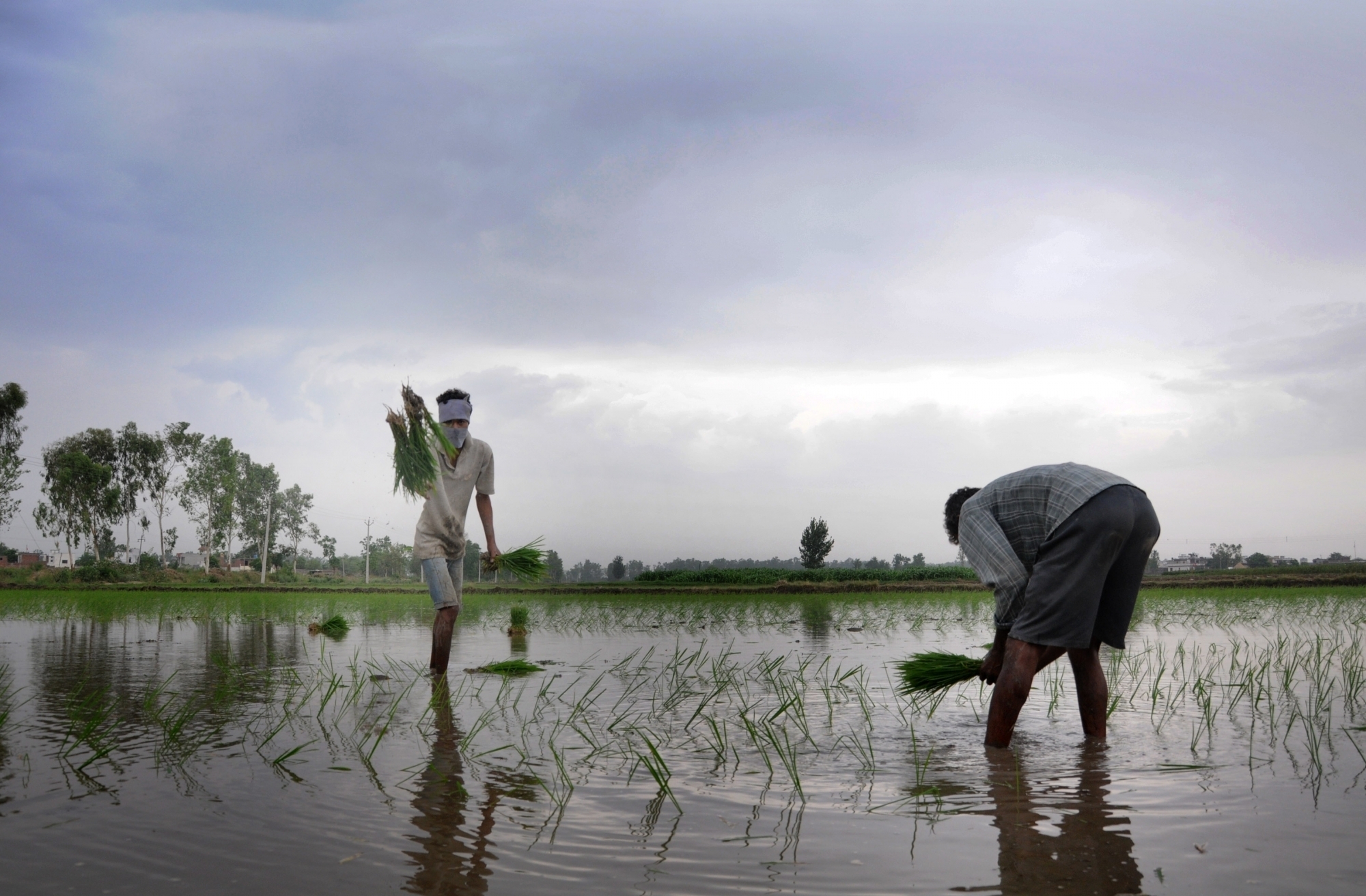 KHARIF CROPS