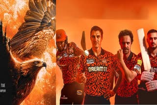 Sunrisers Hyderabad IPL 2024