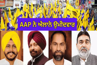 AAP CANDIDATE LIST