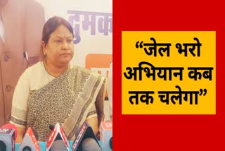 Dumka Lok Sabha seat BJP candidate Sita Soren targets India Bloc leaders