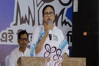 CM Mamata Banerjee