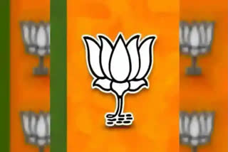 The Bharatiya Janata Party (BJP) has announced four candidates for the bypolls in Uttar Pradesh, which will be held concurrently with the Lok Sabha elections. The candidates include Arvind Singh for Dadraul, Shailendra Kumar Shailu from Gainsari, Shravan Gaur from Duddhi, and O.P. Srivastava from Lucknow East.