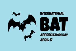 International Bat Appreciation Day is a significant event that sheds light on the crucial role bats play in our ecosystems including their unique relationship with birds.