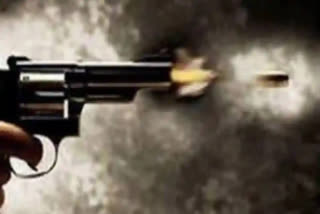 A 44-year-old man killed an assistant sub-inspector and then killed himself in northeast Delhi. The incident occurred at the Meet Nagar Flyover, where multiple bullet rounds were fired.