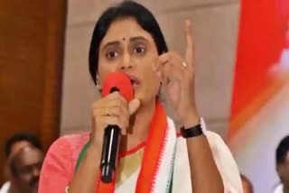 APCC_Chief_YS_Sharmila_Madanapalle_Election_Campaign_Live