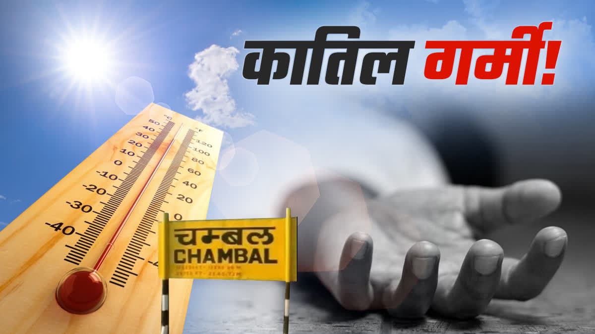 Murder increase in Summer