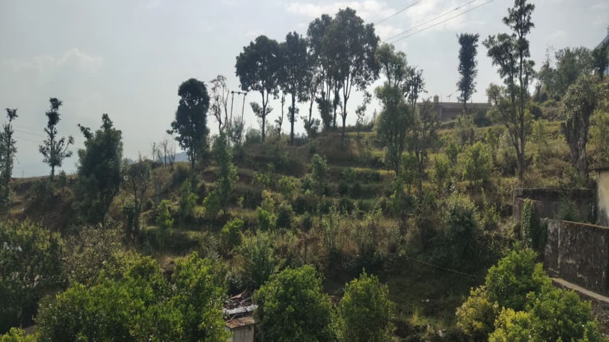 UTTARAKHAND WEATHER NEWS