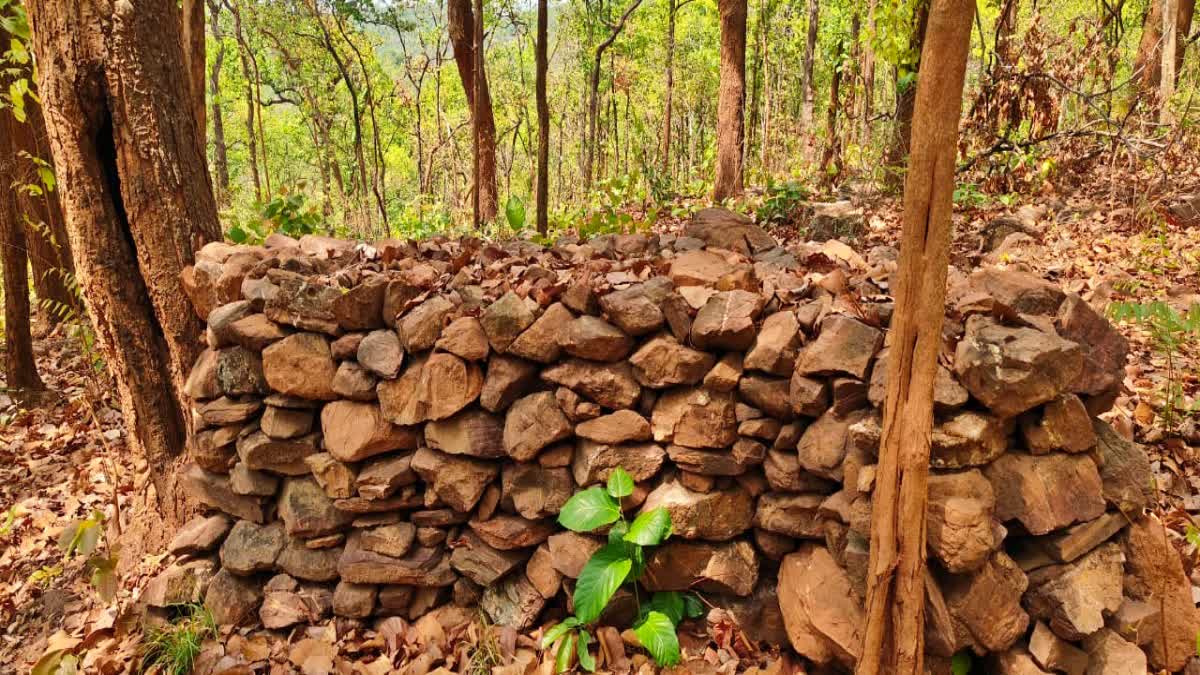 5 IEDs planted by Naxalites