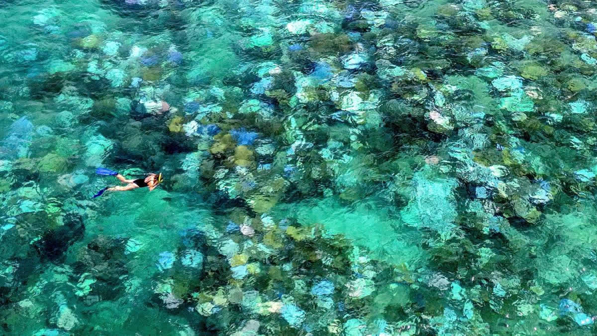 Lost At Sea: Ghost Nets Looms As Threat To Kerala's Marine Ecosystems