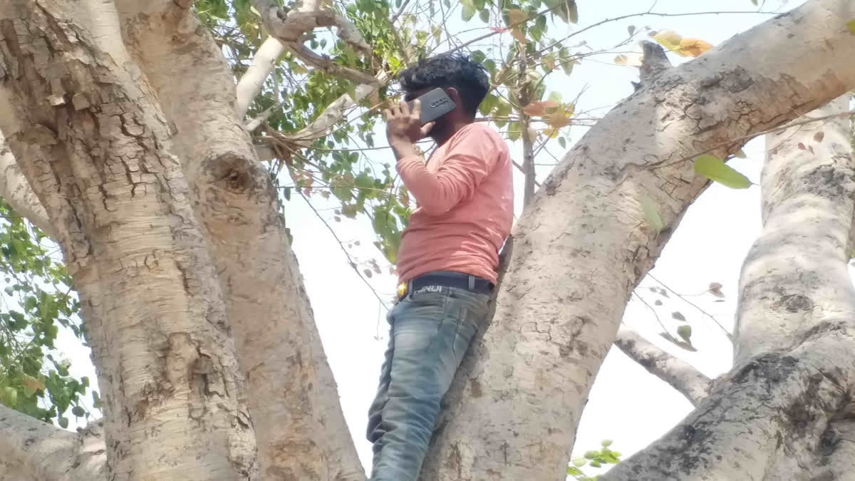 Mobile Network In Bihar Chhakrband Police Station Area In Gaya Districts