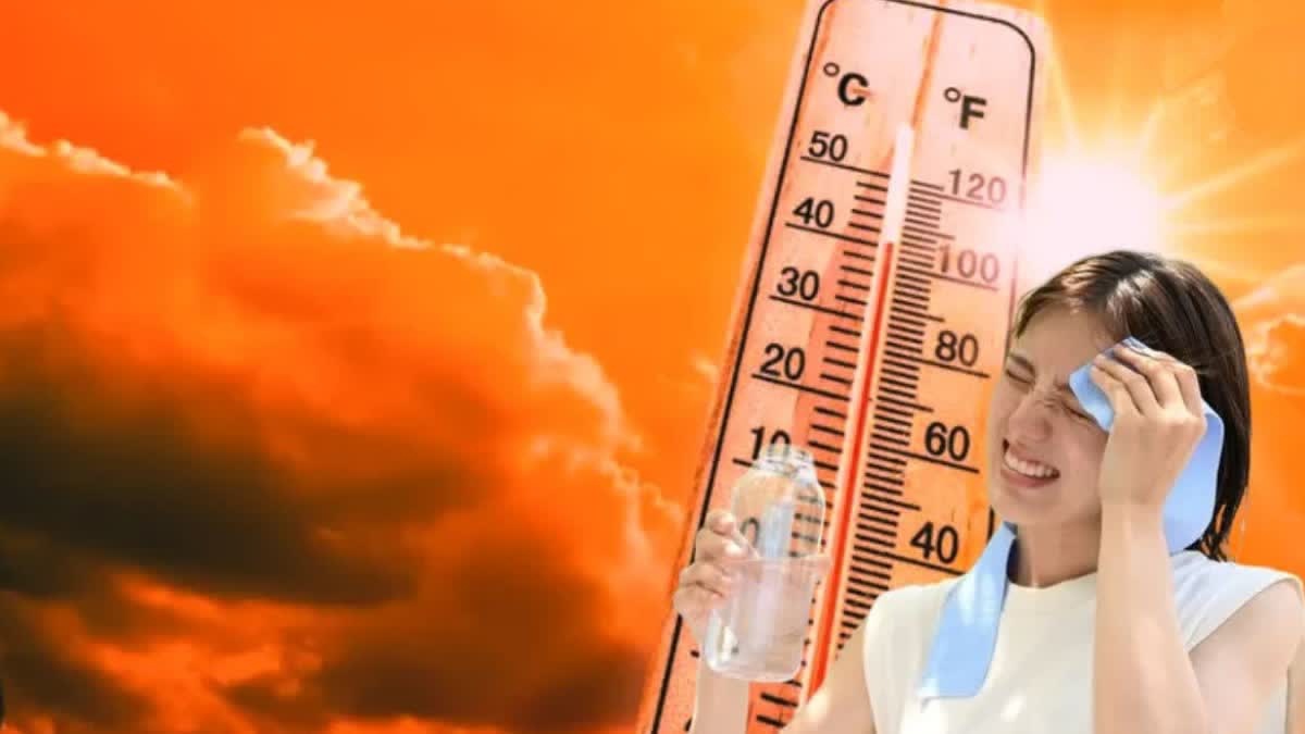 HEAT WAVE IN INDIA