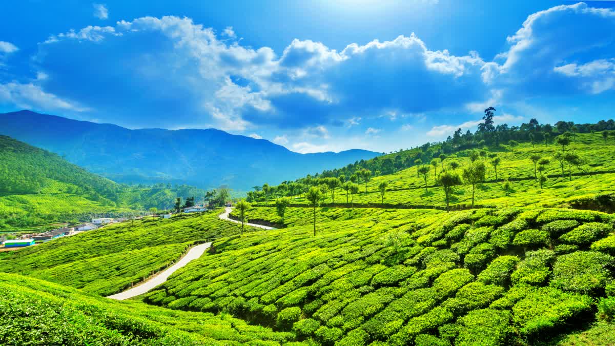 ooty_munnar_summer_tour_planning