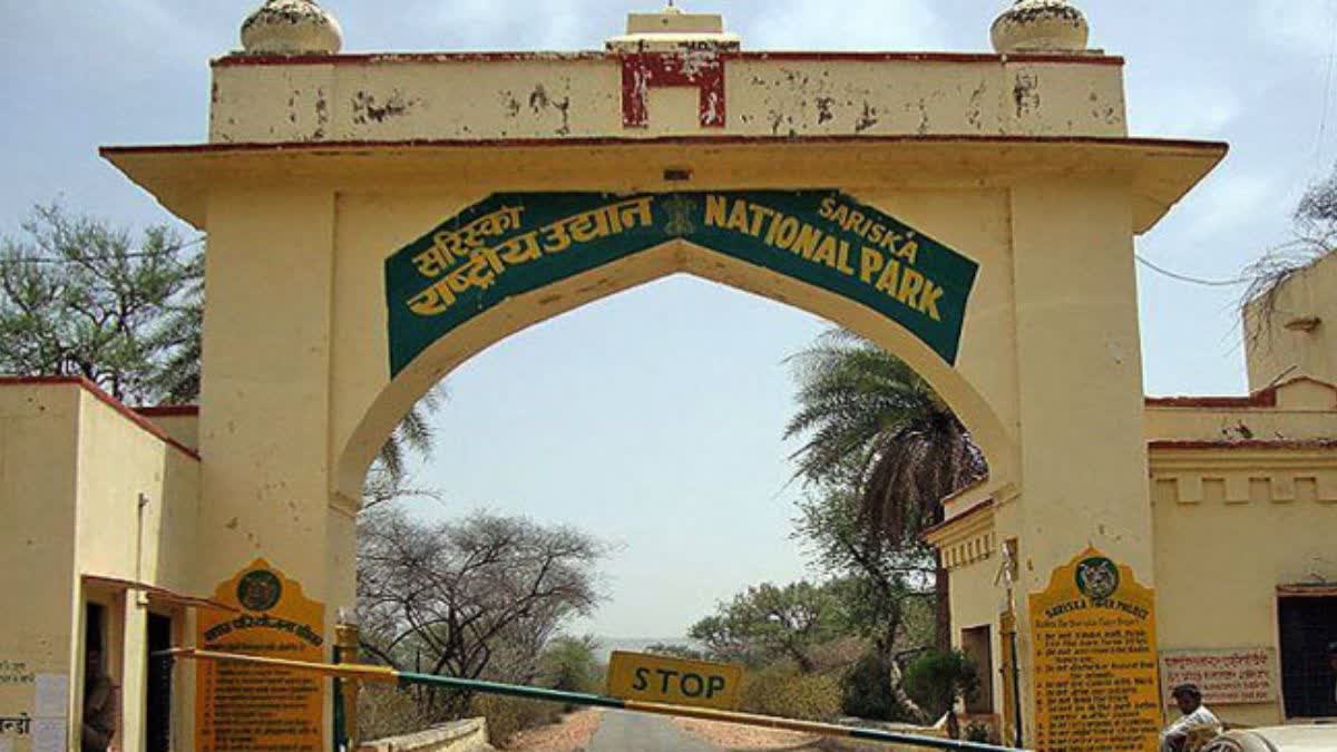 सरिस्का टाइगर रिजर्व