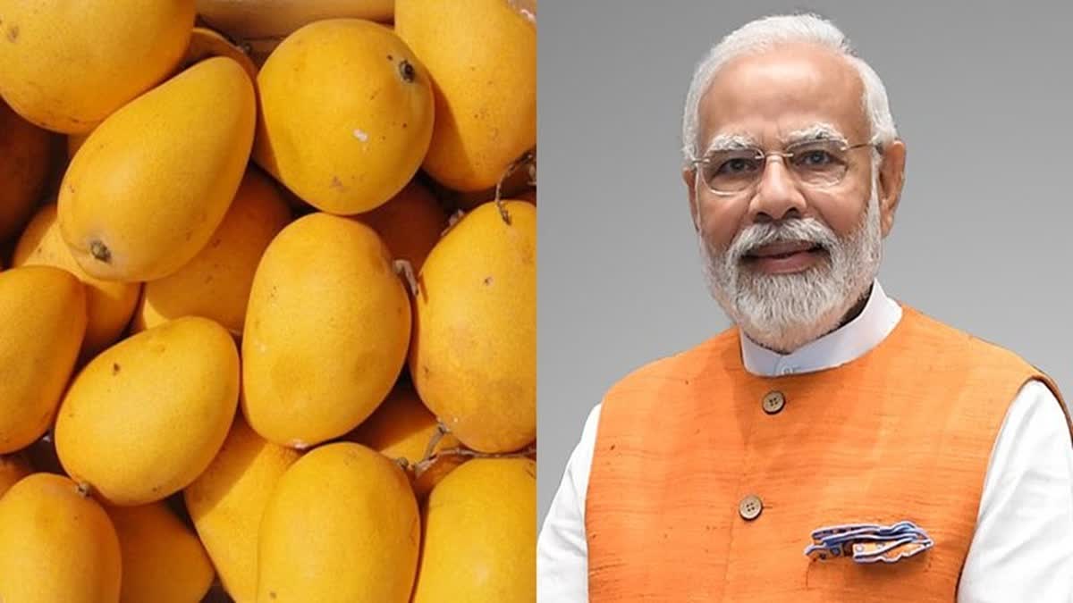Prime Minister Narendra Modi to inaugurate Mango Festival on 30 April 2025