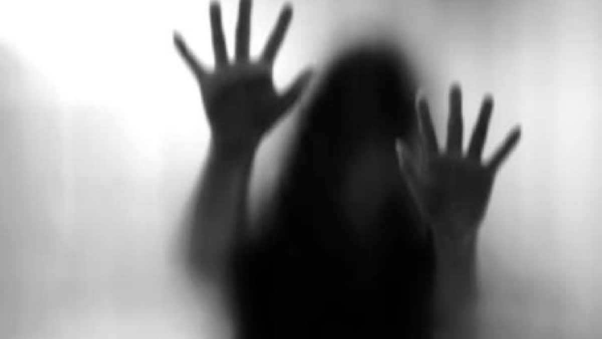 Air Hostess On Ventilator 'Sexual Assault': Police Say CCTV Of Gurugram Hospital Being Screened