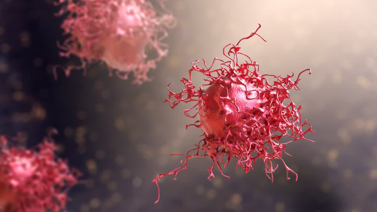 SYMPTOMS OF CANCER IN THE BODY