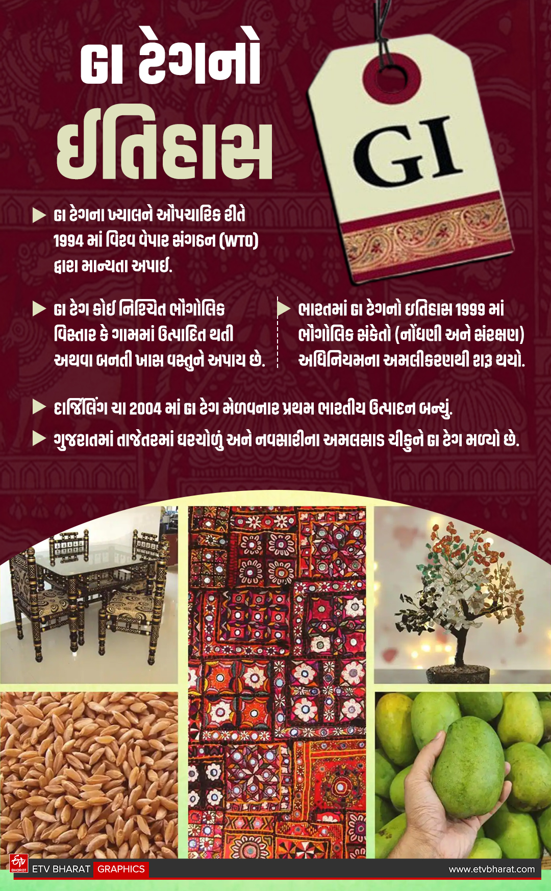 કેવી રીતે થઈ GI ટેગની શરૂઆત?