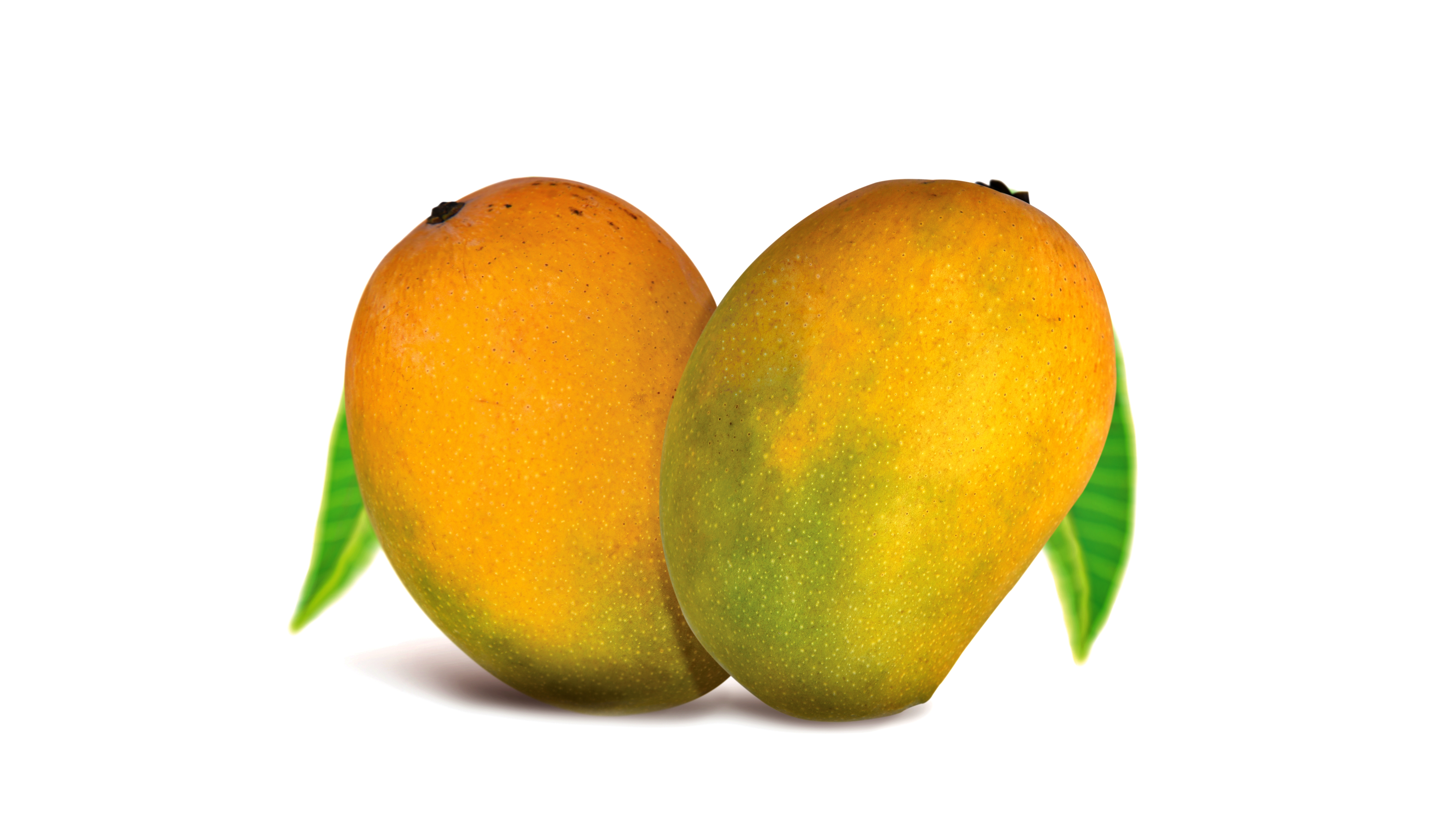 Mango Idli at Home