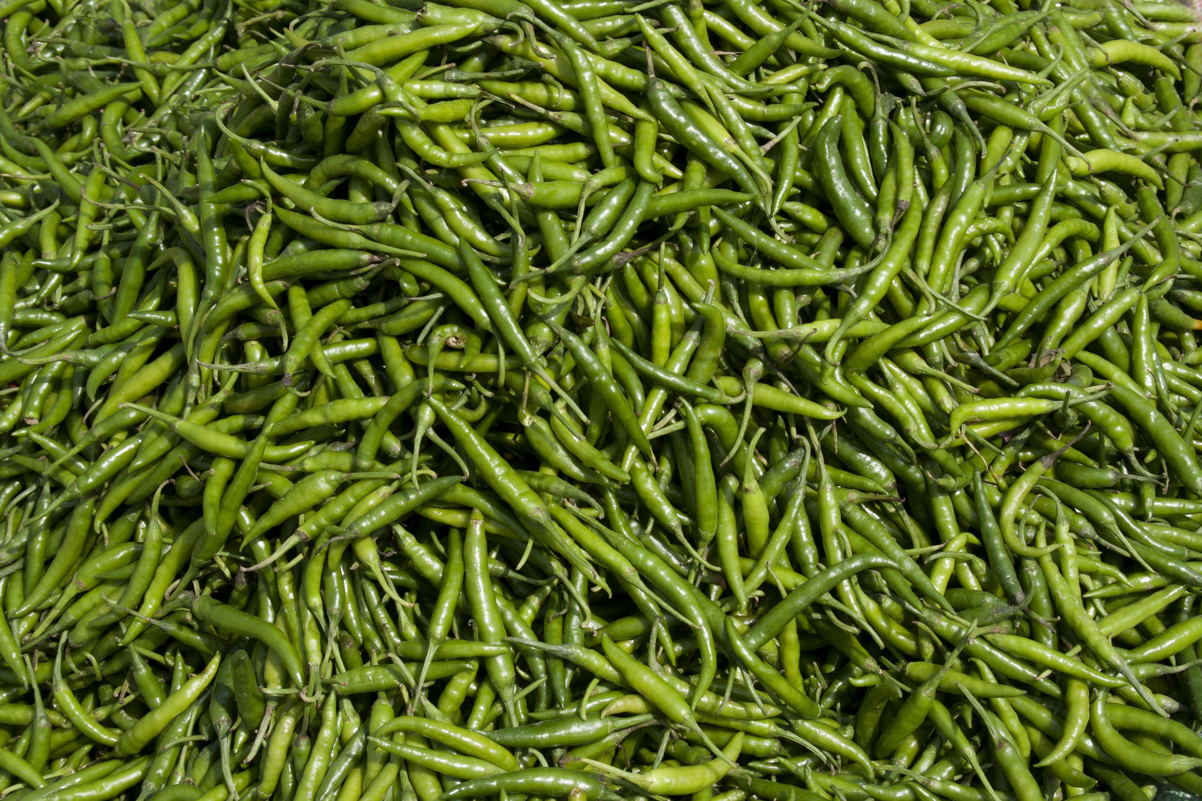 Green Chilli