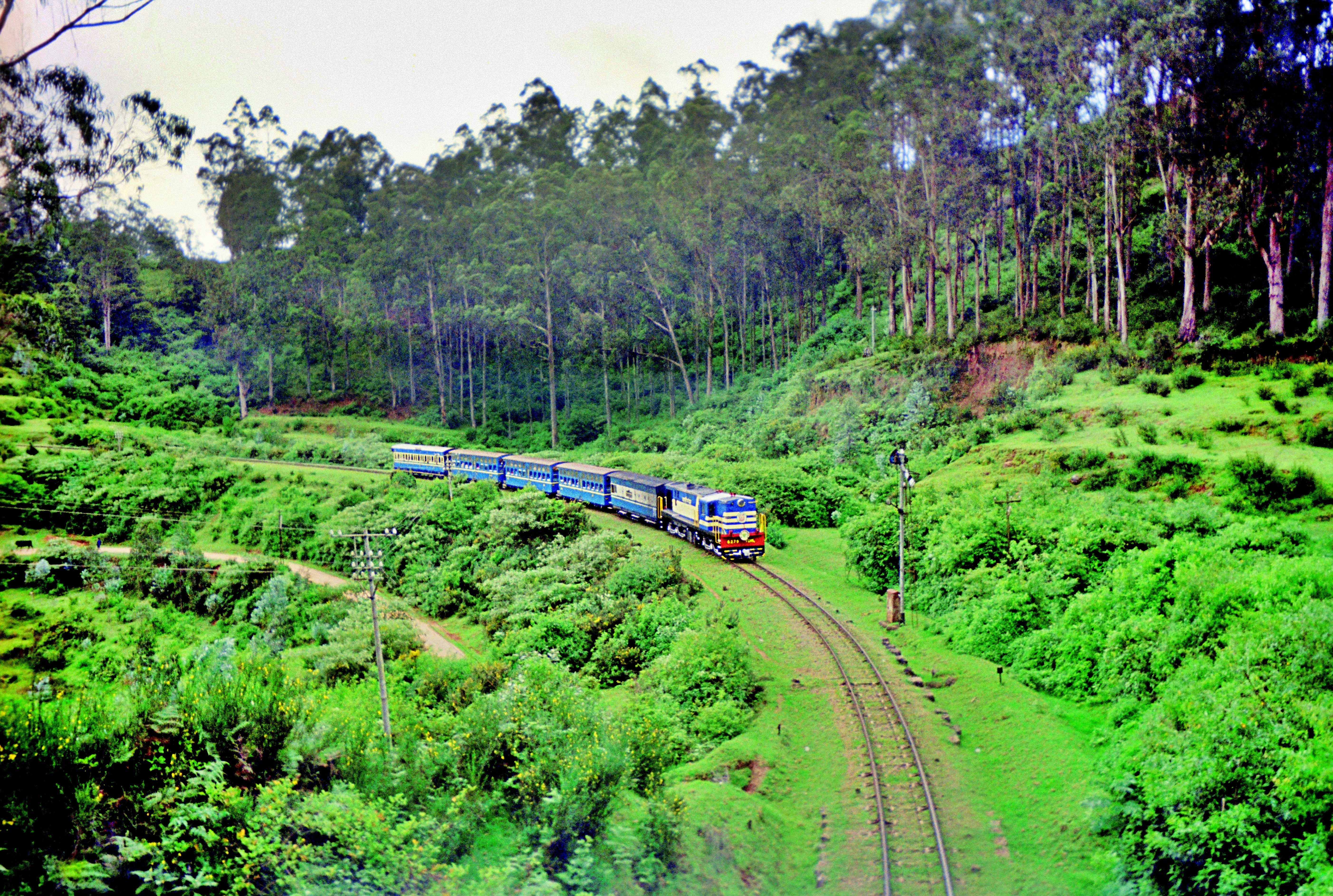 ooty_munnar_summer_tour_planning
