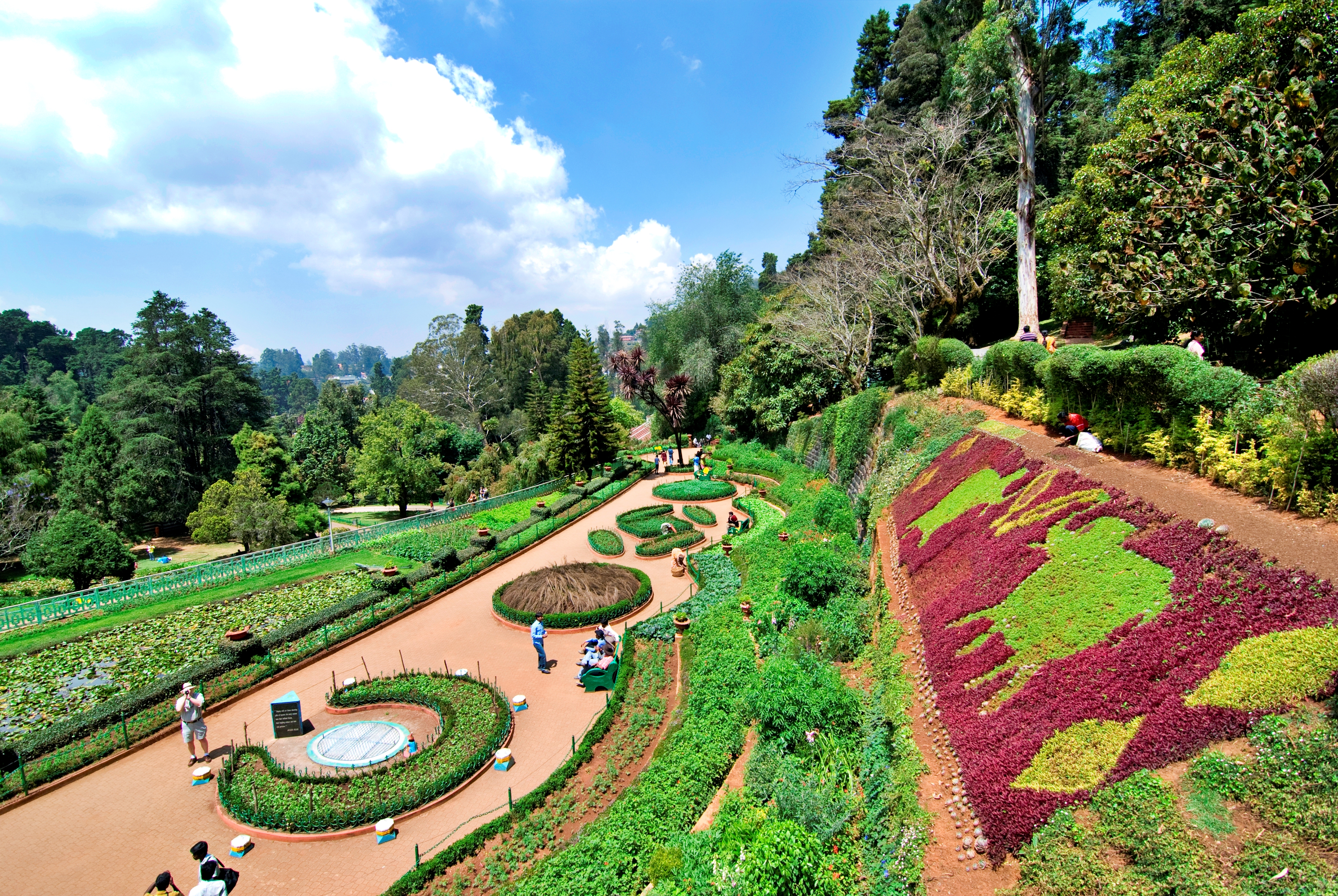 ooty_munnar_summer_tour_planning