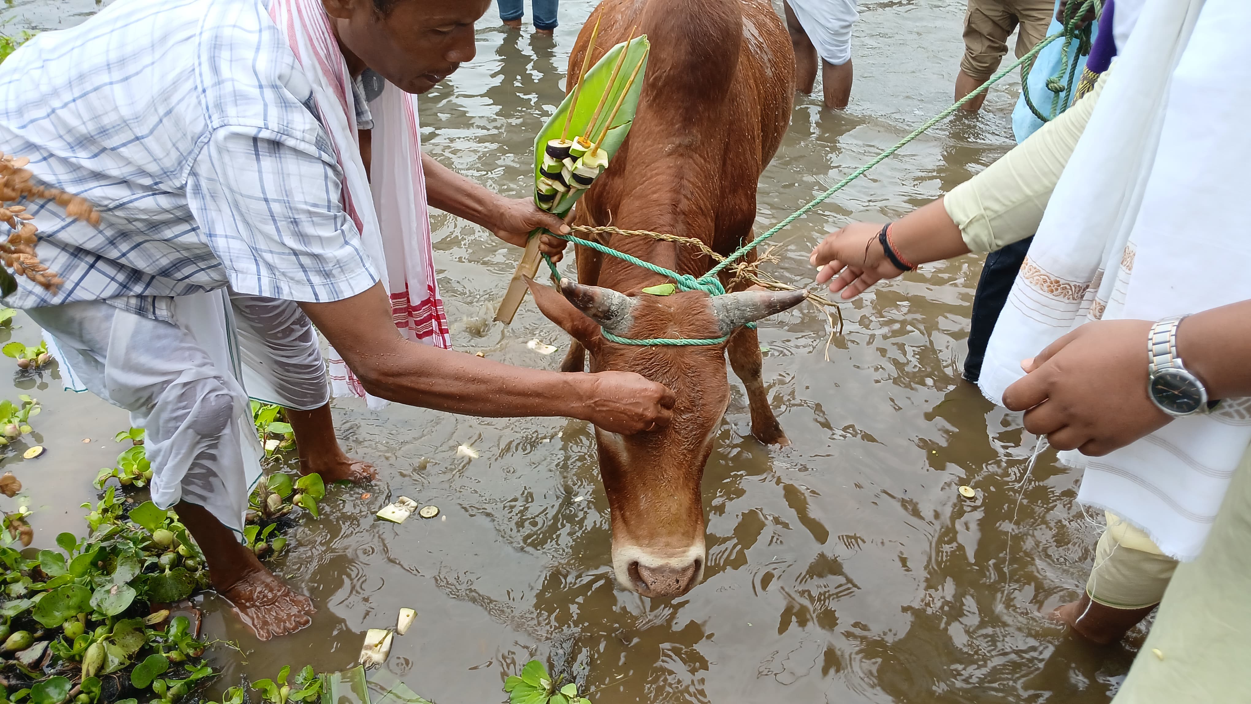 Moran Bihu
