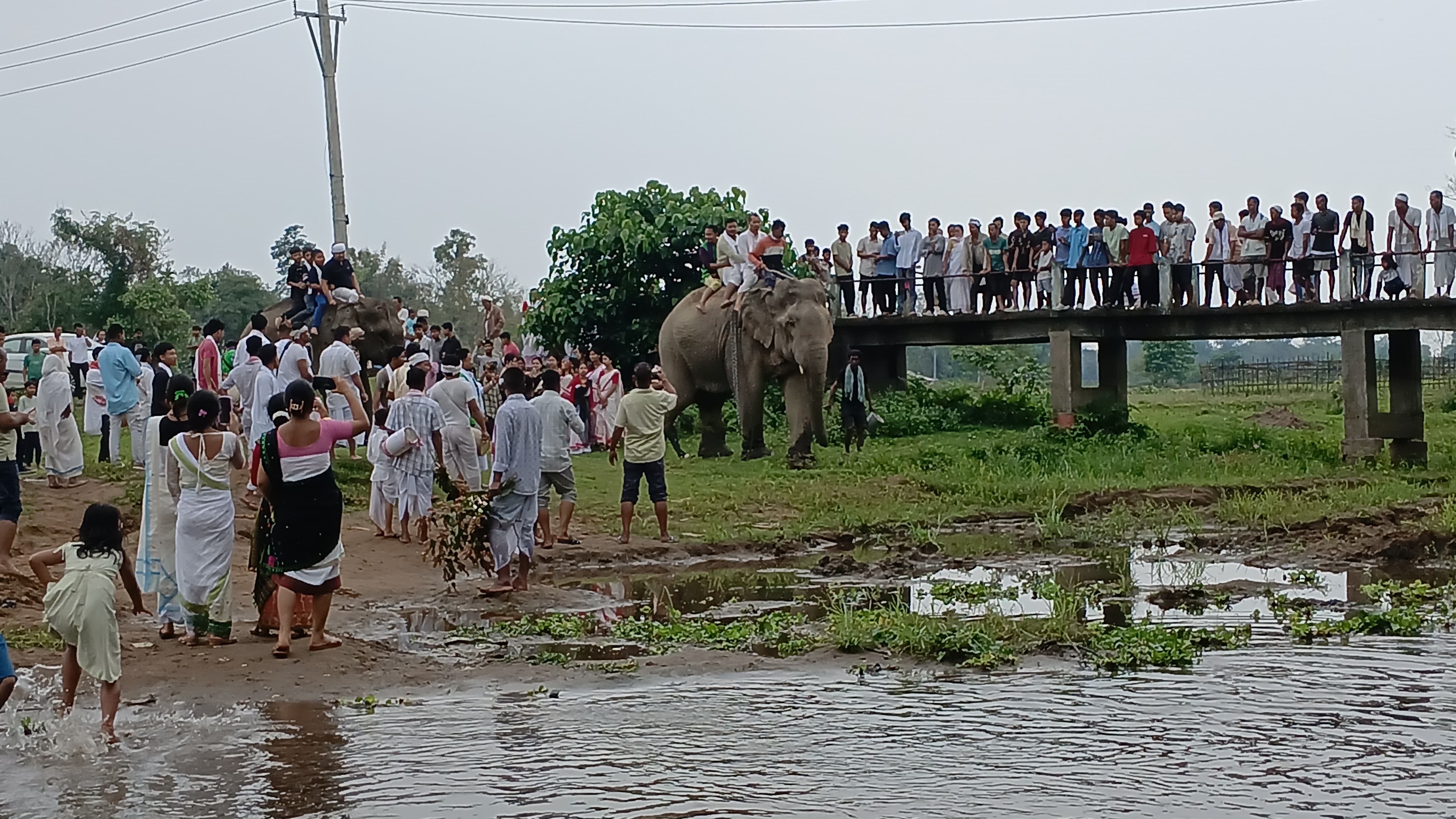 Moran Bihu