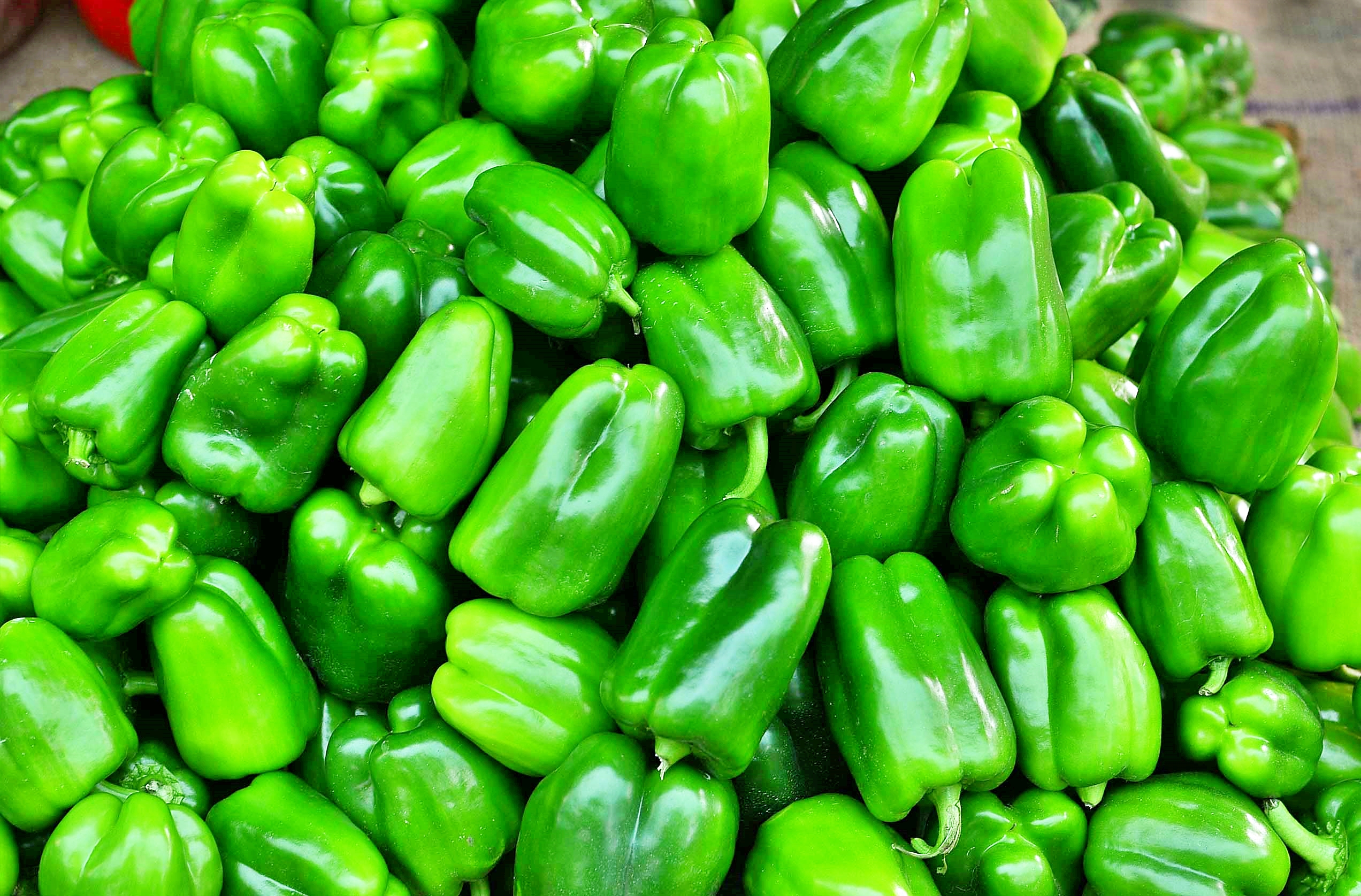 capcicum_chutney_in_telugu