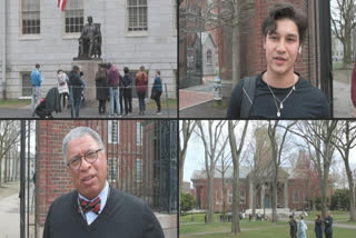 Harvard stands out for defying Trump, in contrast to several other universities and a string of powerful law firms that have folded under intense pressure from the White House in its crackdown on American institutions.