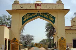 सरिस्का टाइगर रिजर्व