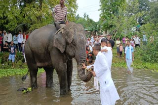 Moran Bihu