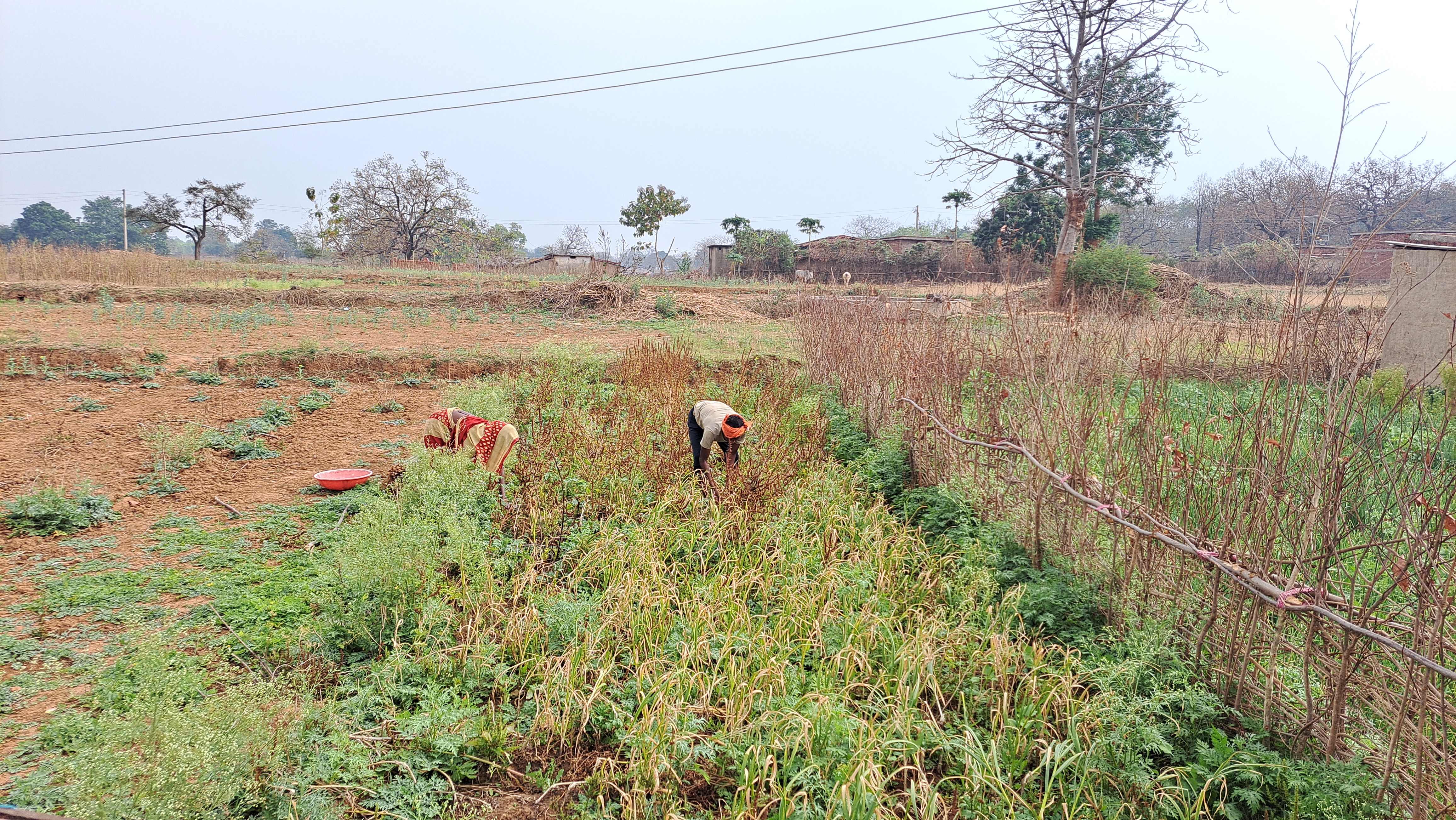 SUCCESS STORY OF DEORIA PANCHAYAT