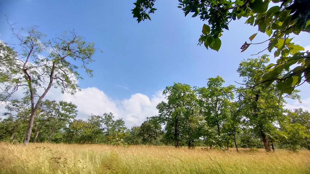 Veerangana Rani Durgavati Reserv