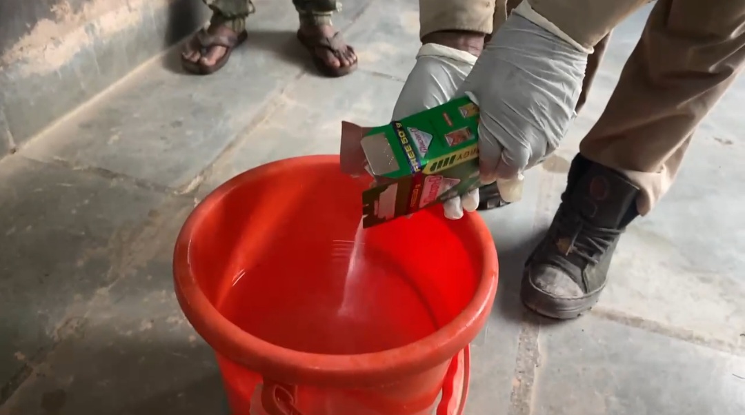 जानवरों को पानी में ग्लूकोज मिलाकर दिया जा रहा है