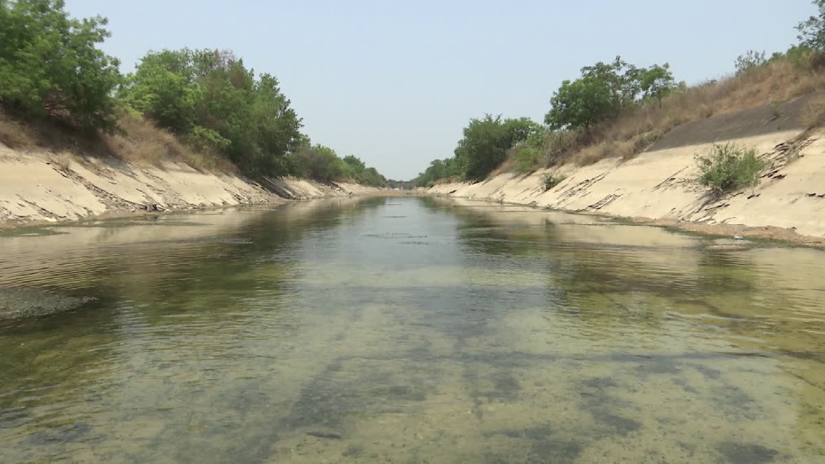 SRSP Kakatiya Canal in Dilapidated Stage