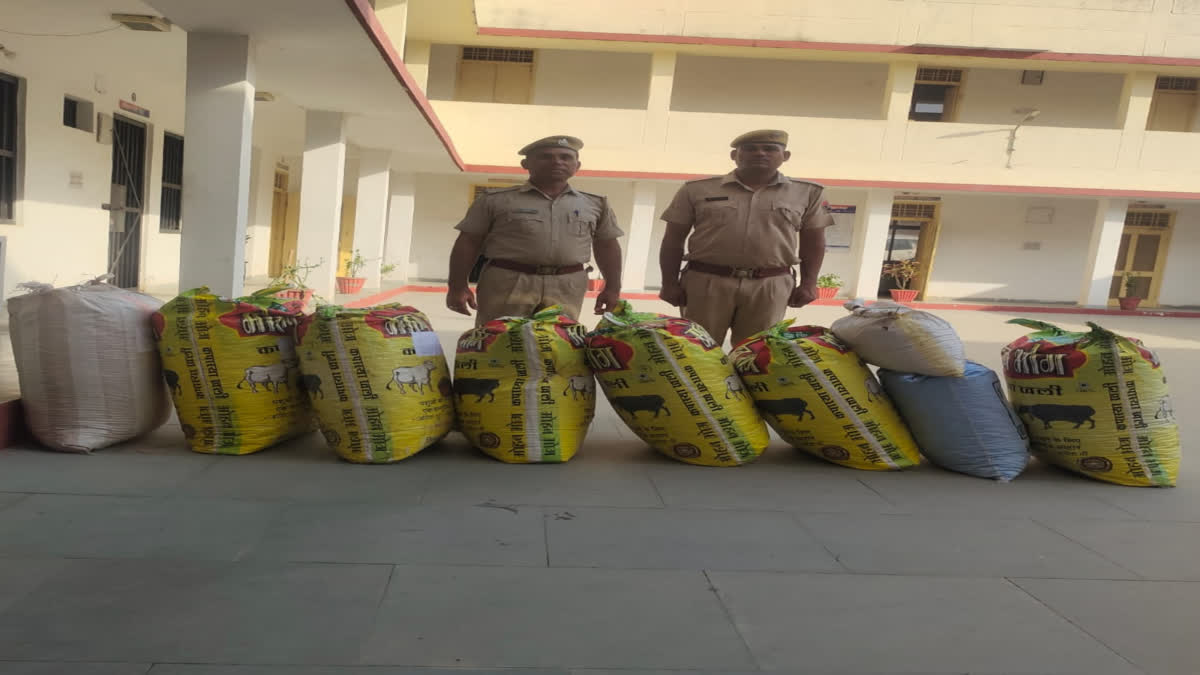 In Chittorgarh, police caught doda powder worth ten lakhs from the car.