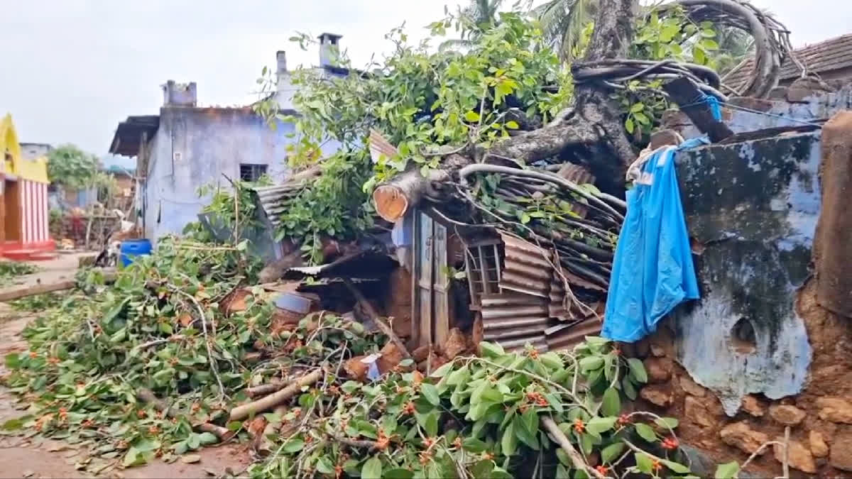 தேனியில் ஆலமரம் சாய்ந்து சேதமடைந்த வீடுகள்