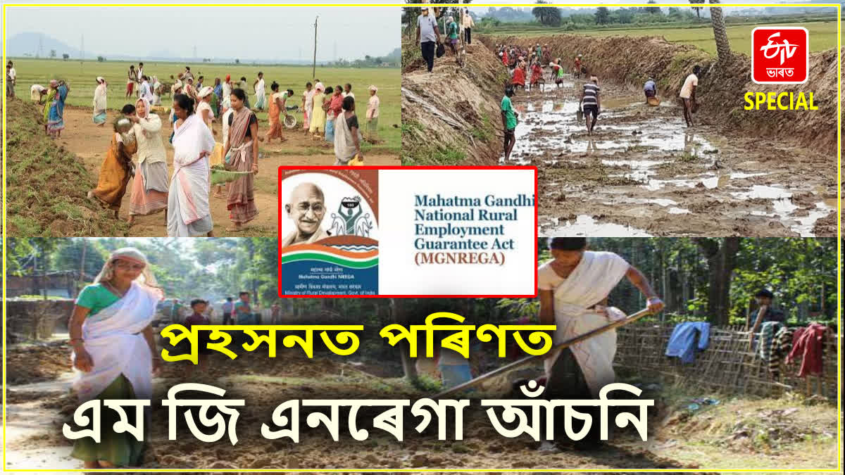 MG NREGA in Assam