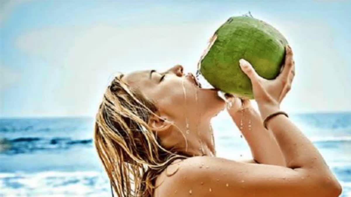 Etv BharatCoconut Water