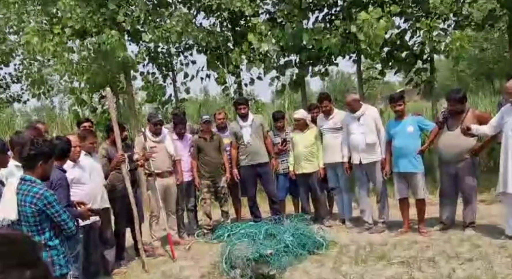 Crocodile Found in Laksar