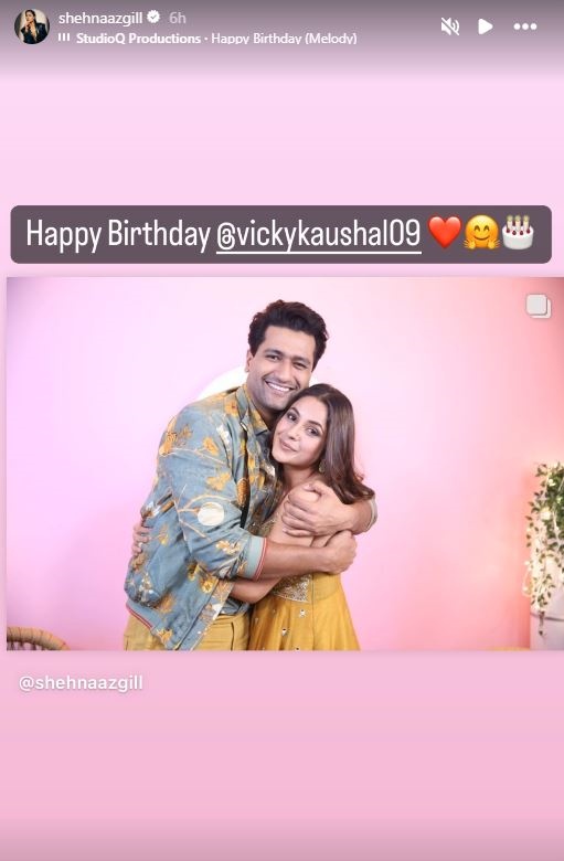 Shehnaaz Gill Shares Adorable Birthday Pic for Vicky Kaushal on Instagram - See Inside