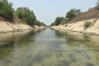 SRSP Kakatiya Canal in Dilapidated Stage