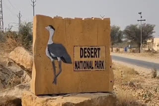 national desert park of Jaisalmer.