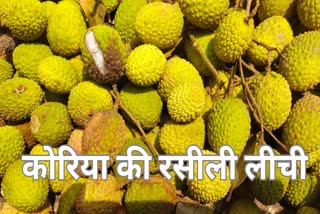 Litchi production in CG