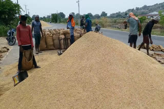 Paddy Procurement Problems in Joint Nizamabad District