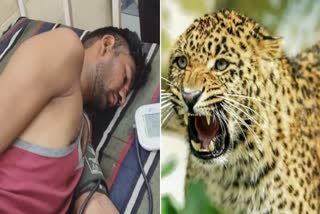 LEOPARD ATTACKS MAN IN DEWAS