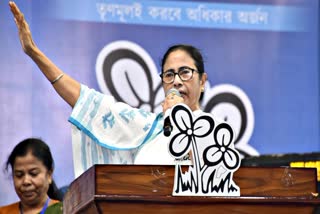 Mamata Banerjee public meet